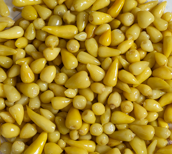 Pınar Biberiye (Tombul) Turşu Kova Net 6 Kg